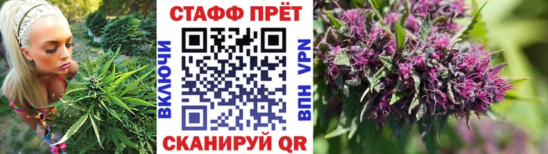 Гашиш Волхов