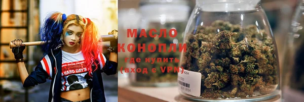 дживик Володарск