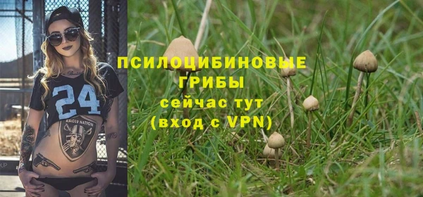 дживик Володарск