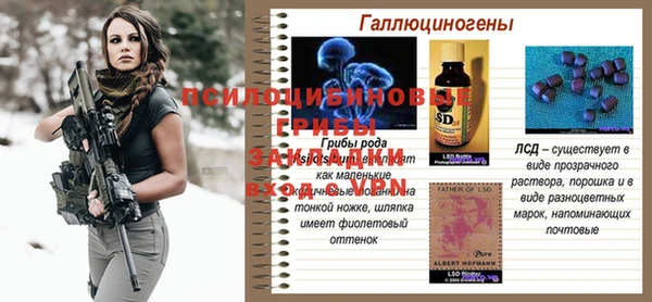 хмурый Сосновоборск