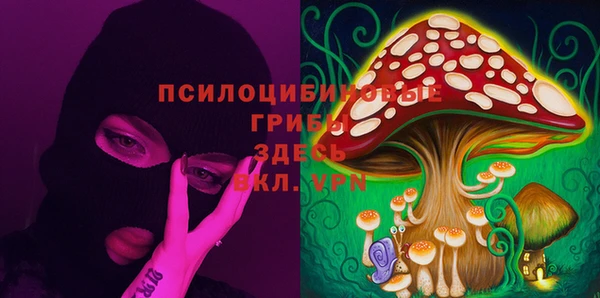 гидропоника Верея