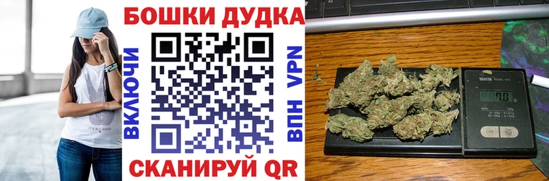 Шишки марихуана сатива  Волхов 